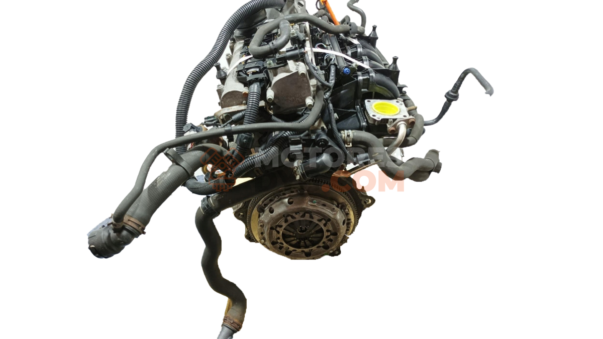 Motor BBY Volkswagen Polo IV (9N3) 1.4 (80 cv) 5-d
