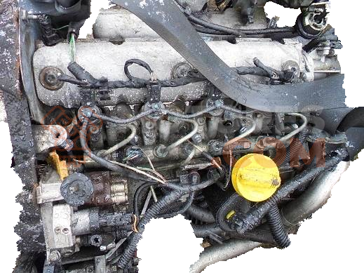 Motor bby Volkswagen Polo IV (9N3) 1.4 TDI (70 cv) 5-d