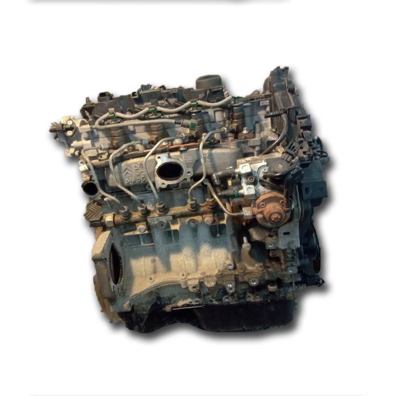 Motor BCB Seat Leon II (1P) 1.6 TDI (90 cv)