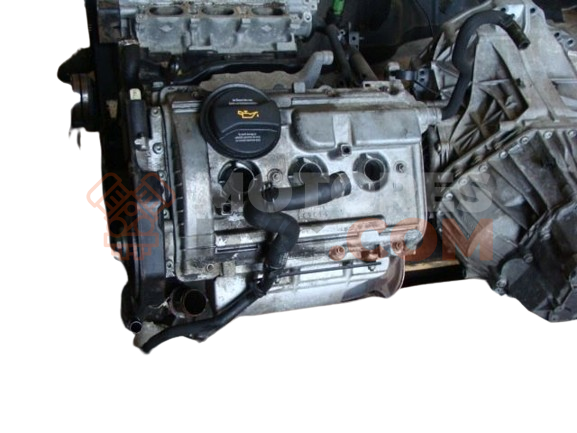 Motor bdv Audi A4 Avant (B6 8E) 2.5 TDI V6 (155 cv)