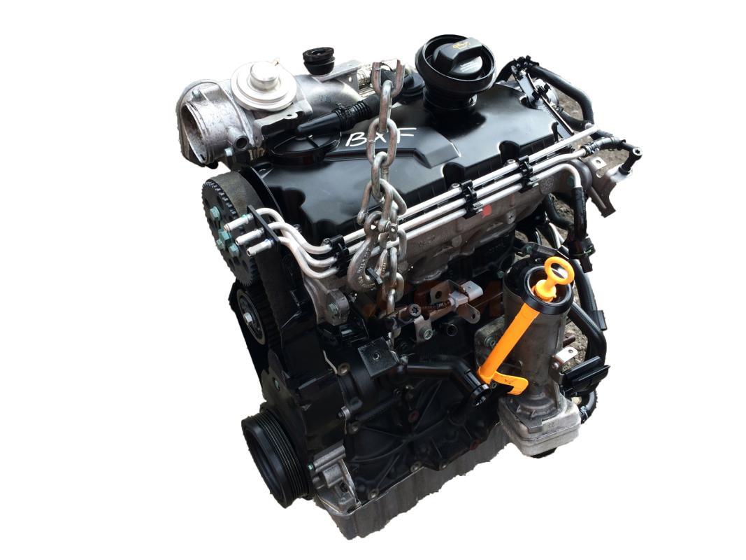 Motor BKC Audi A3 (8P) Versión 2008 1.9 TDI (105 cv) DPF