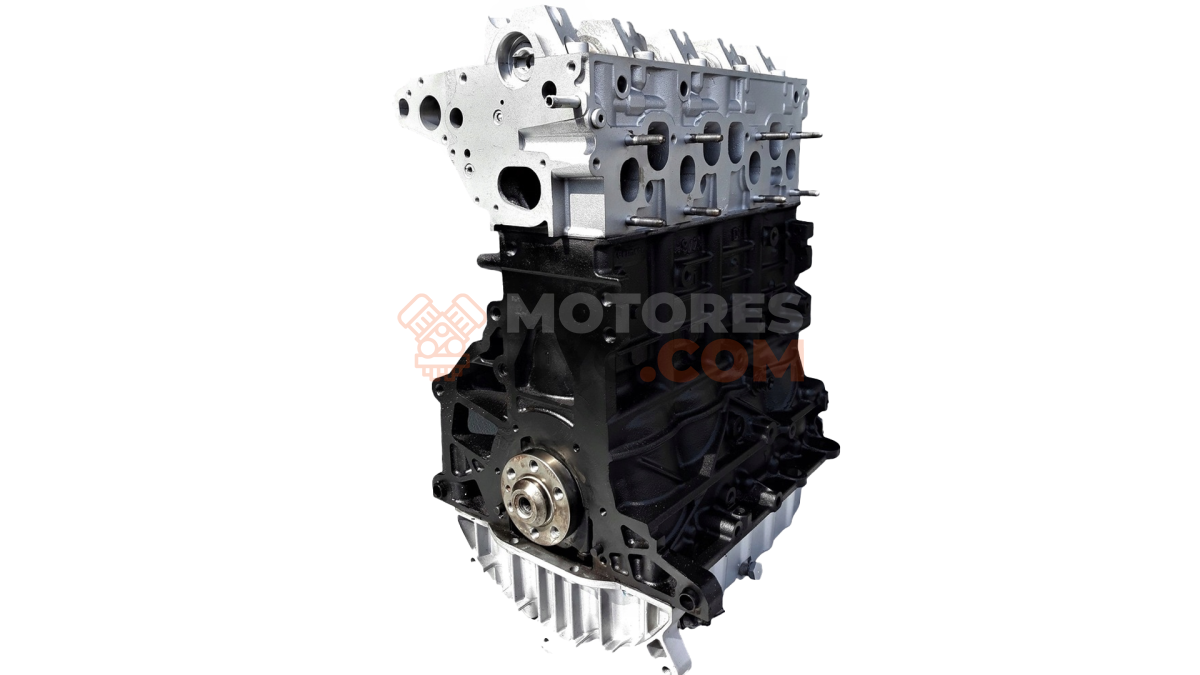 Motor BKC Volkswagen Golf V 1.9 TDI (90 cv)