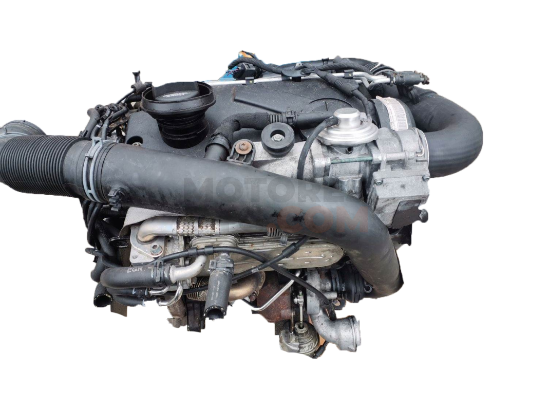 Motor bkc Volkswagen Golf V Plus 1.9 TDI (105 cv) Plus