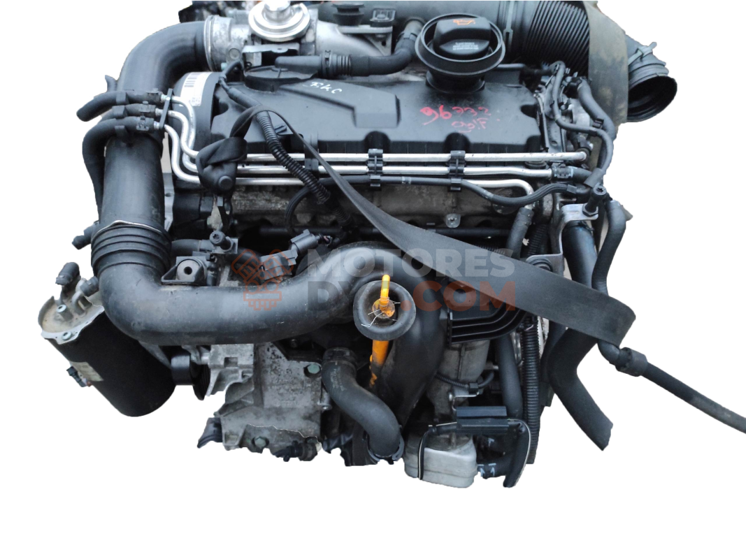 Motor bkc Volkswagen Golf V 1.9 TDI 4Motion (105 cv) DSG