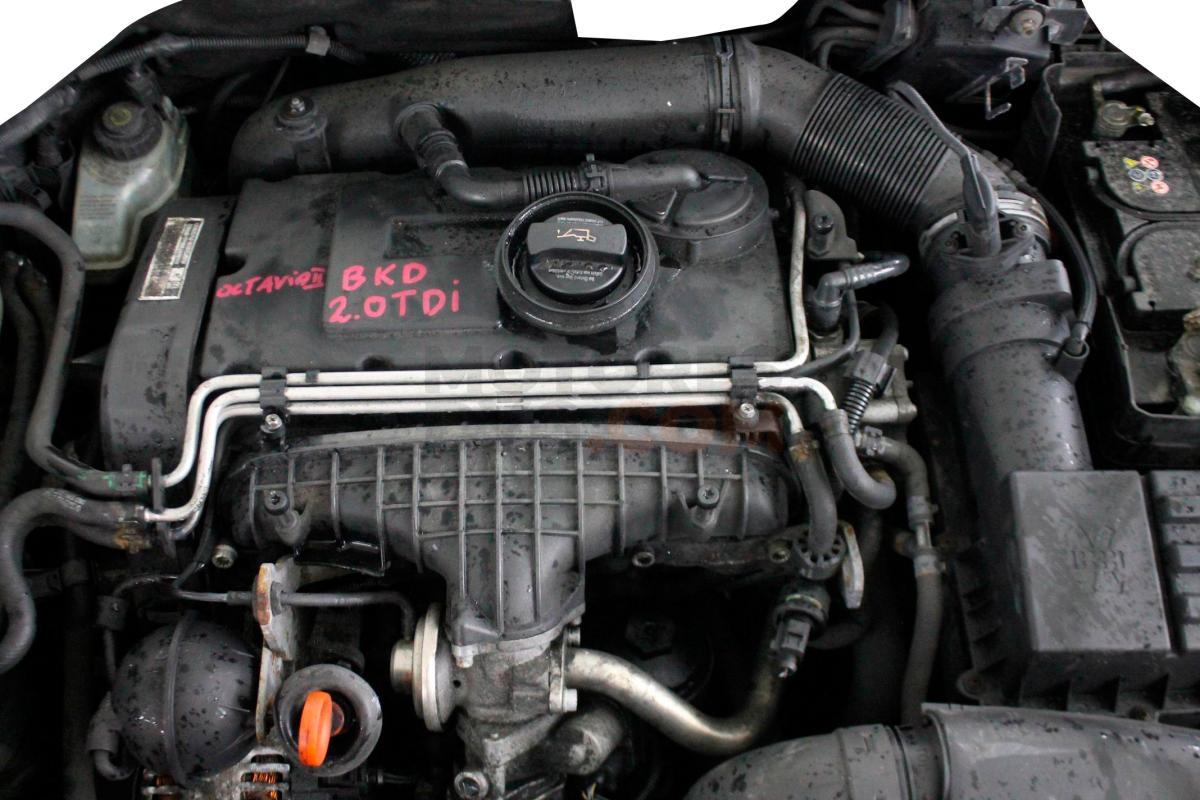 Motor BKD Skoda Octavia II 2.0 TDI PD (140 cv)