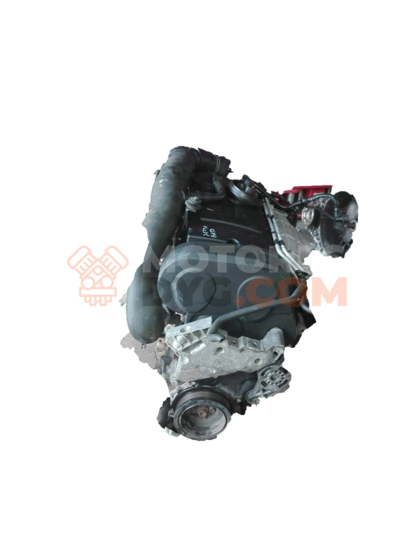 Motor bkd Seat Leon II (1P) 1.9 TDI (105 cv)
