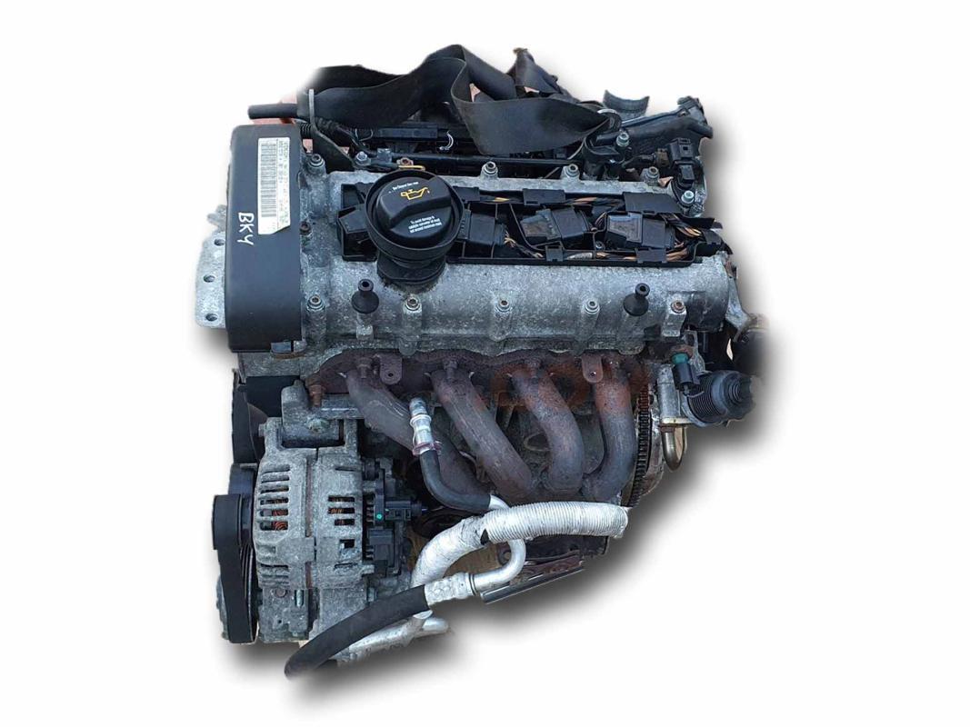 Motor BKY Volkswagen Polo IV (9N) 1.4 16V (101 cv)