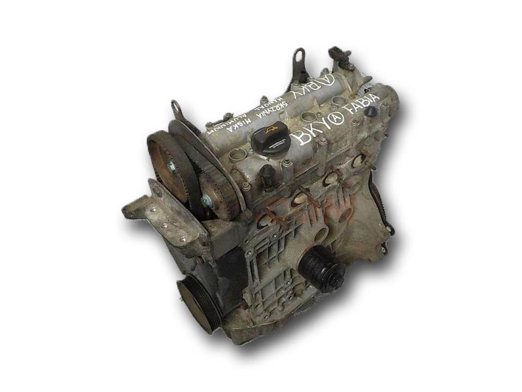 Motor BKY Volkswagen Polo IV (9N) 1.4 16V (75 cv)