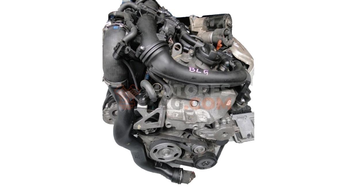 Motor blg Volkswagen Jetta IV 1.9 TDI (101 cv)