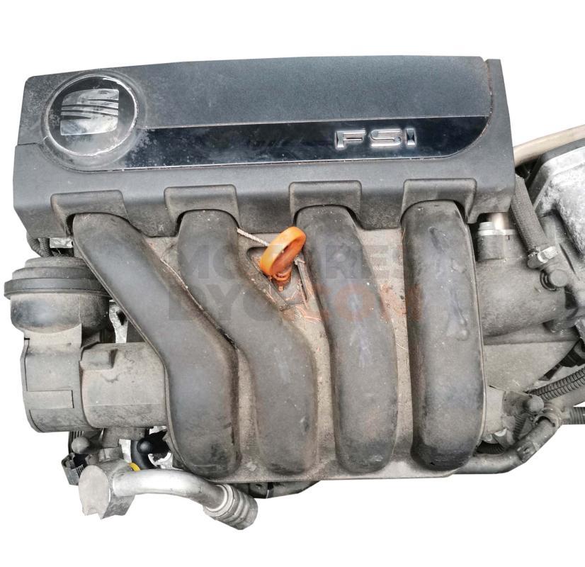 Motor BLR Seat Leon II (1P) 2.0 TDI (140 cv)