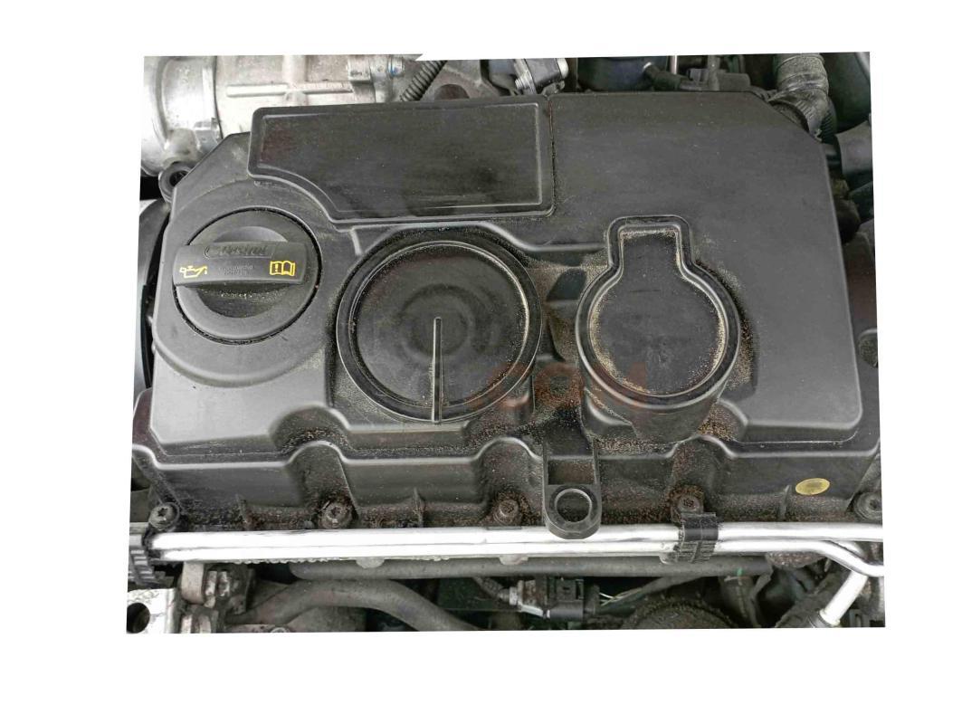 Motor BLS Audi A3 (8P) 1.9 TDI (105 cv)