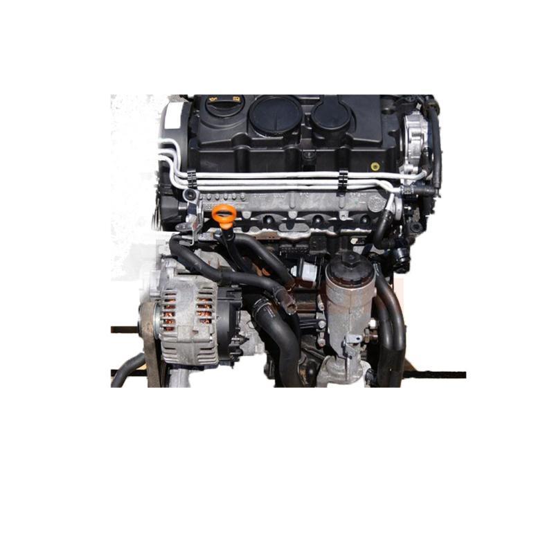 Motor BLS Audi A3 (8P) 1.9 TDI (105 cv)