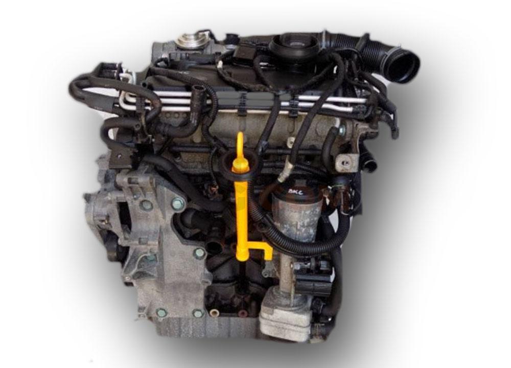 Motor BLS Volkswagen Caddy Maxi Life (Typ 2K) 1.9 TDI (105 cv) DSG