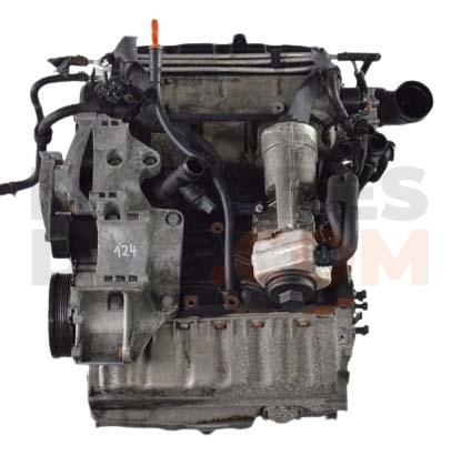 Motor BLS Volkswagen Golf V 1.9 TDI (105 cv)