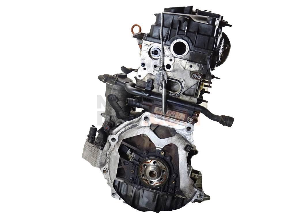 Motor BMN Volkswagen Golf V 2.0 TDI DPF (170 cv)