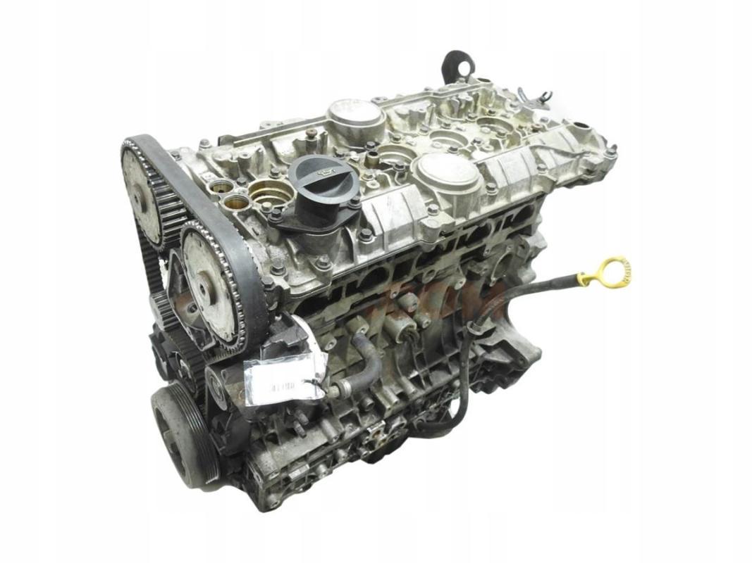 Motor BMP Volkswagen Passat (B6) 1.9 TDI (105 cv)