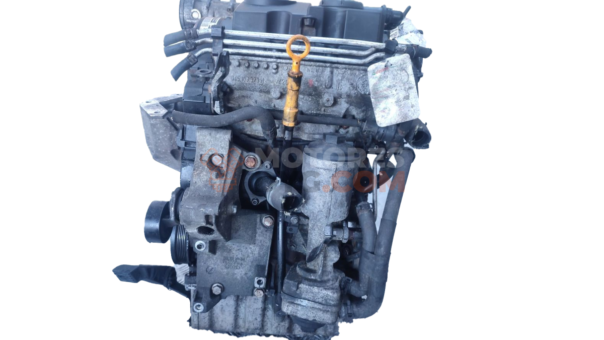 Motor BMS Seat Ibiza IV 1.4 TDI (75 CV)