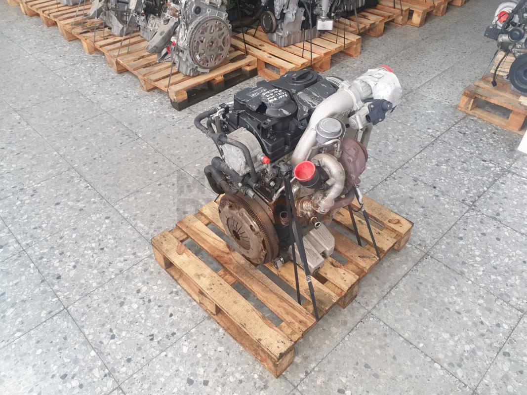 Motor BMS Seat Ibiza IV 1.4 TDI (80 CV)