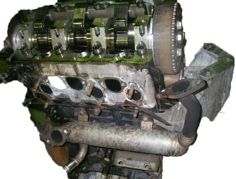 Motor BMS Volkswagen Polo IV (9N) 1.4 TDI (80 cv)