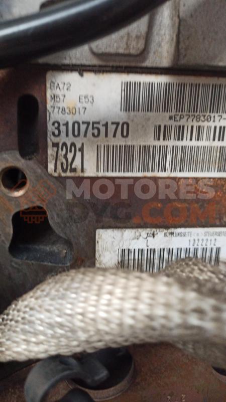 Motor 306D1 Bmw X5 (E53) 3.0d (184 cv) Automatico
