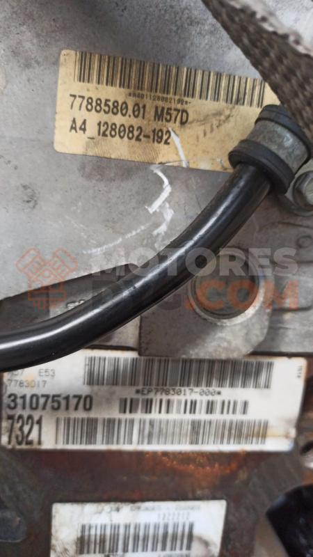 Motor 306D1 Bmw X5 (E53) 3.0d (184 cv) Automatico