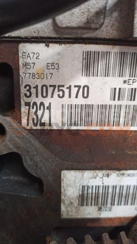 Motor 306D1 Bmw X5 (E53) 3.0d (184 cv) Automatico