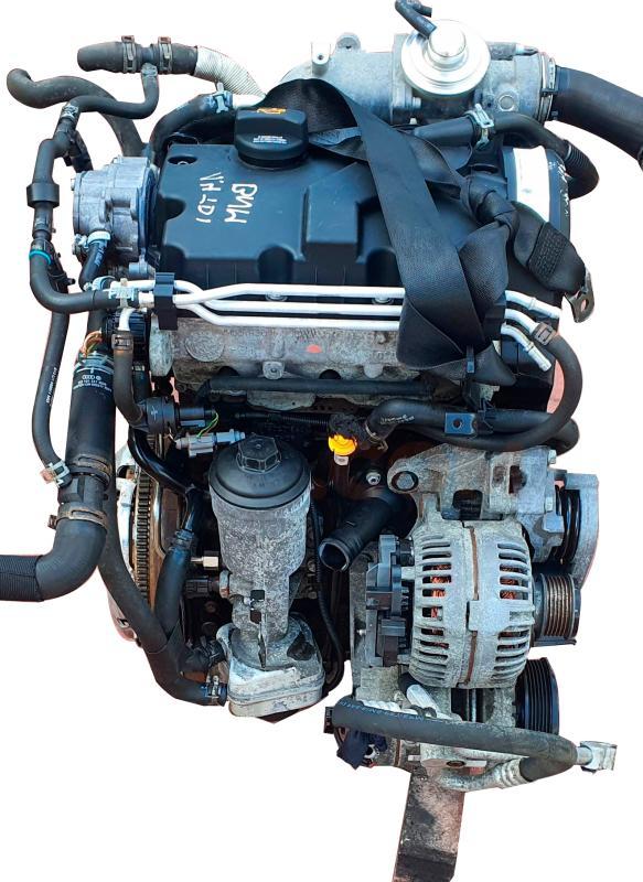 Motor bnm Volkswagen Polo IV (9N) 1.4 TDI (80 cv)