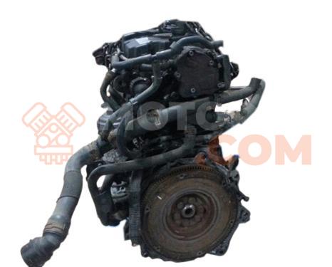 Motor BNV Volkswagen Polo IV (9N3) 1.4 (80 cv)
