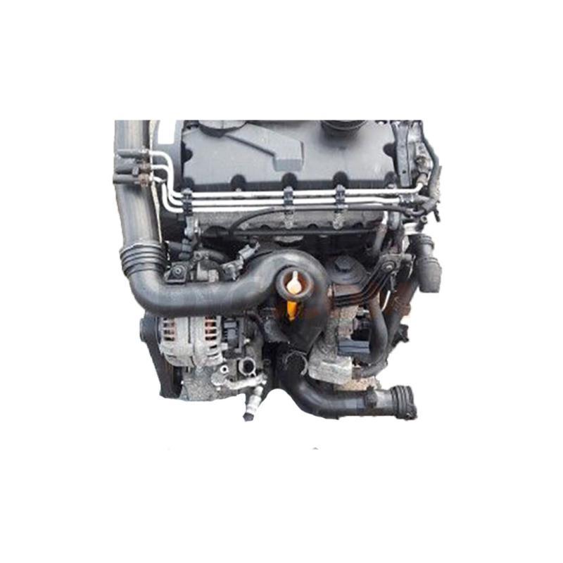Motor BRU Volkswagen Golf V 1.9 TDI (90 cv)