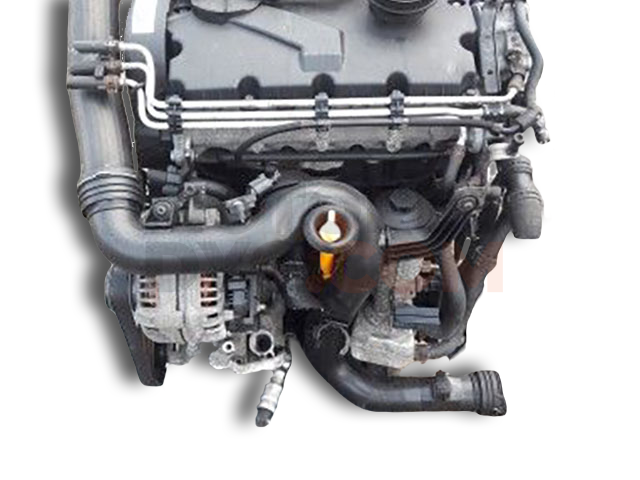 Motor BRU Volkswagen Golf V Plus 1.9 TDI (90cv)
