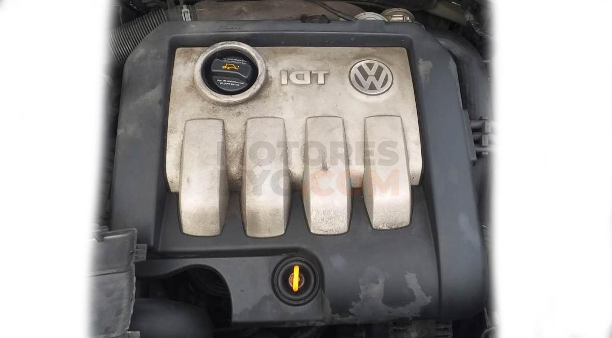 Motor BRU Volkswagen Golf V Plus 1.9 TDI (90cv)