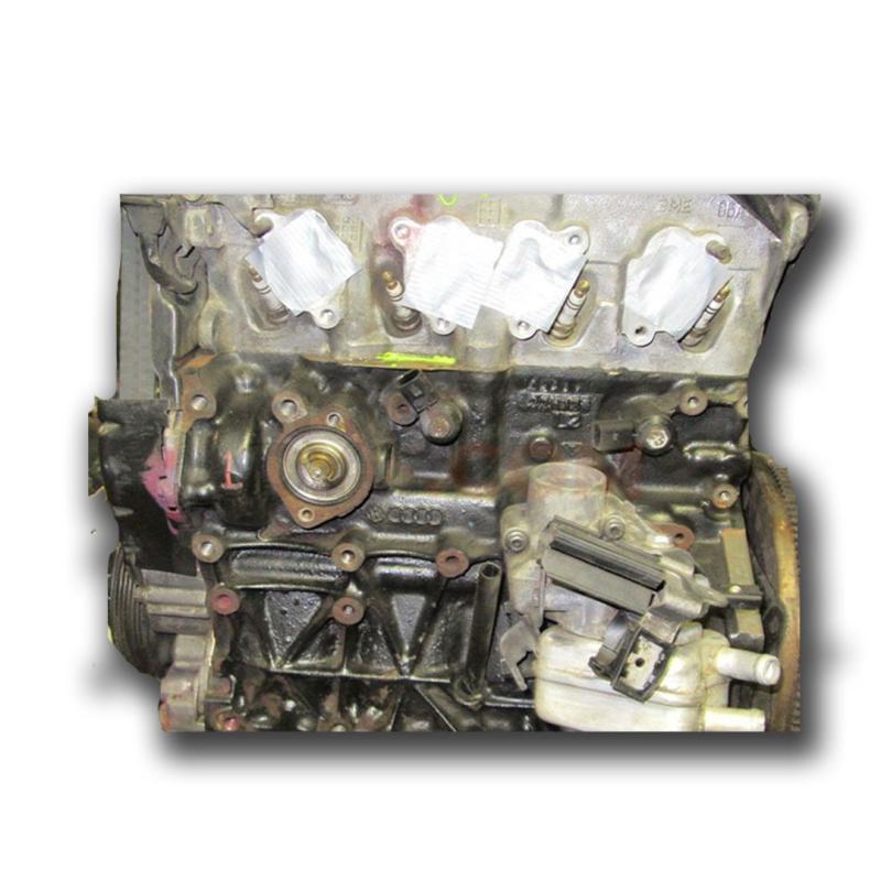 Motor BSX Volkswagen CADDY III (2K,2C) 2.0 EcoFuel (109cv)
