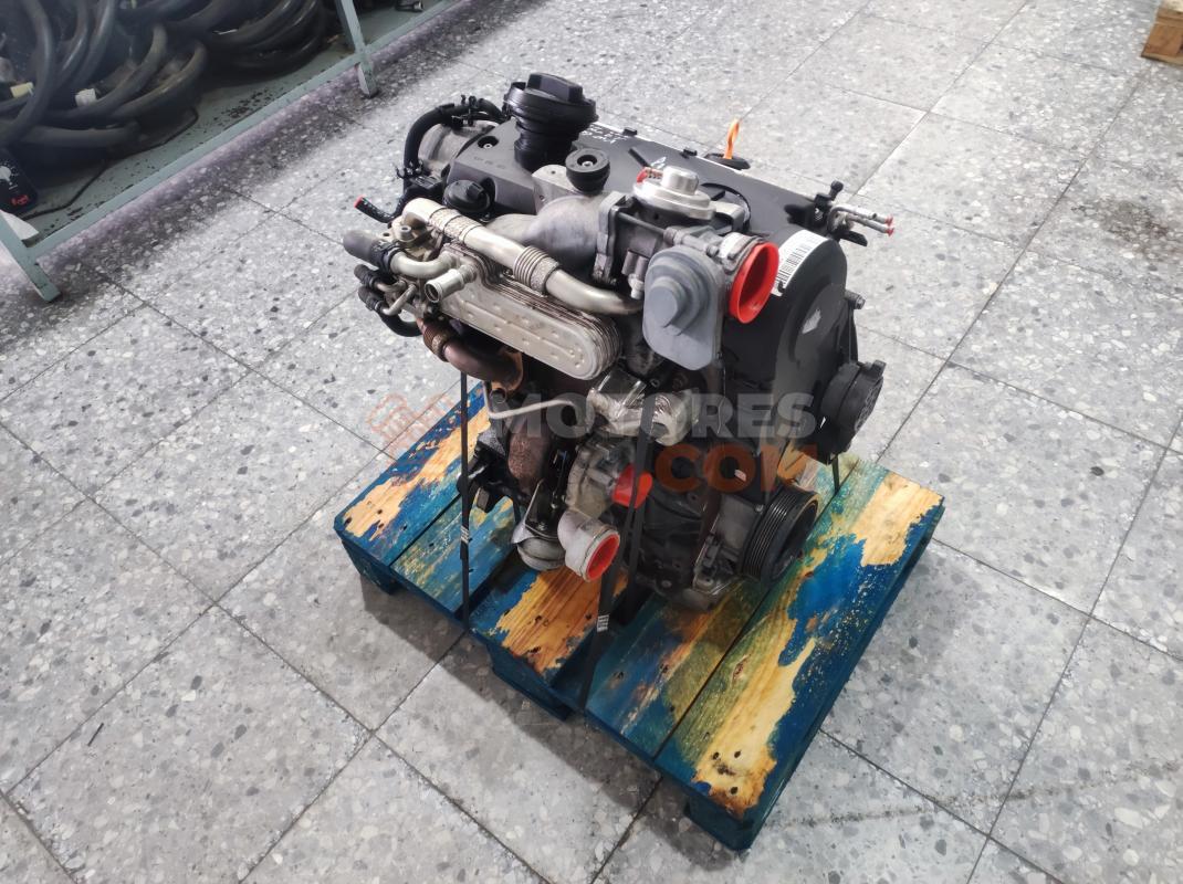Motor BXE Volkswagen Golf V 1.9 TDI (105 cv)