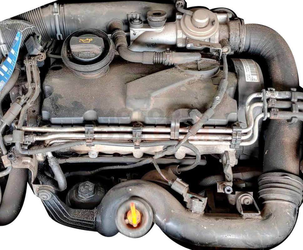 Motor BXE Volkswagen Passat (B6) 1.9 TDI (105 cv)