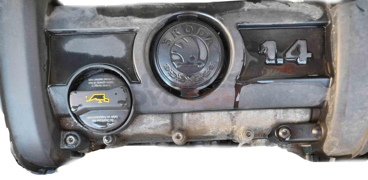 Motor bzg Skoda Roomster 1.2 12V (64 cv)