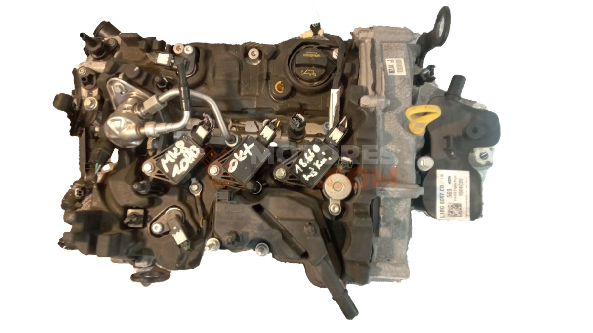 Motor BZJA Ford FIESTA VII (HJ, HF) 1.0 EcoBoost mHEV (155 cv)