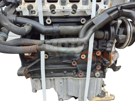 Motor CAV Volkswagen Jetta IV 1.4 16V (75 cv)