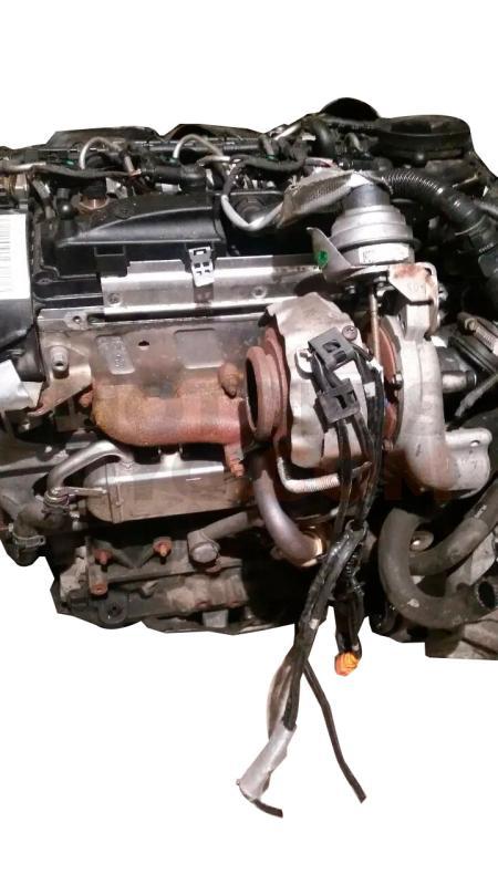 Motor CAY Audi A3 (8P) Versión 2008 1.6 TDI (90 cv)
