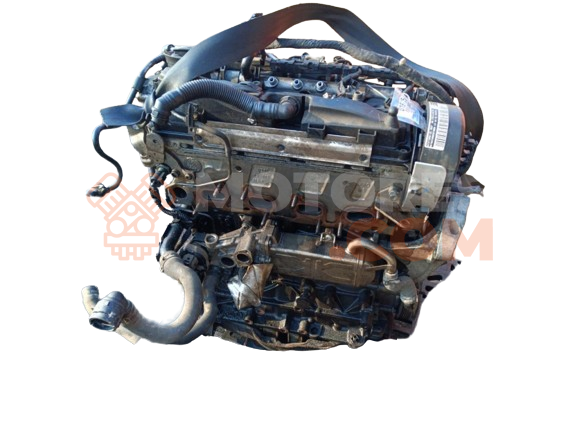 Motor CAY Volkswagen Caddy (Typ 2K) 1.6 (102 cv)