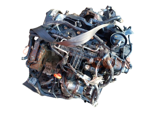 Motor CAY Volkswagen Caddy (Typ 2K) 1.6 (102 cv)