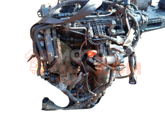 Motor CAY Volkswagen Caddy (Typ 2K) 1.6 (102 cv)