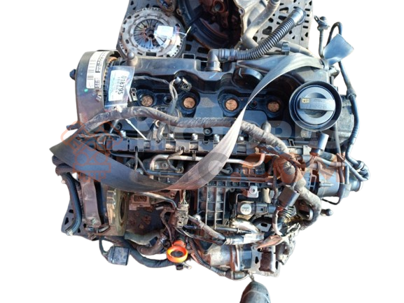 Motor CAY Volkswagen Caddy (Typ 2K) 1.6 (102 cv)