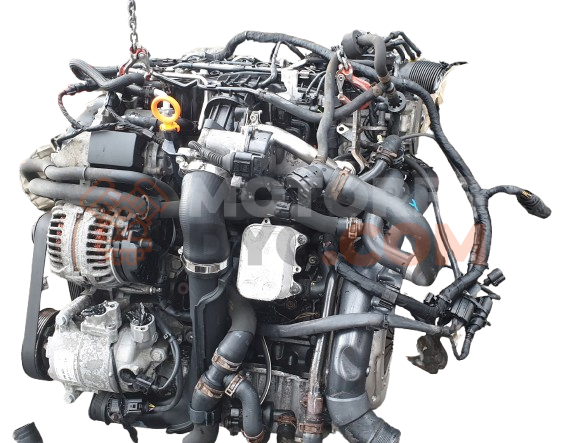 Motor CAY Volkswagen Caddy (Typ 2K) 1.6 (102 cv)