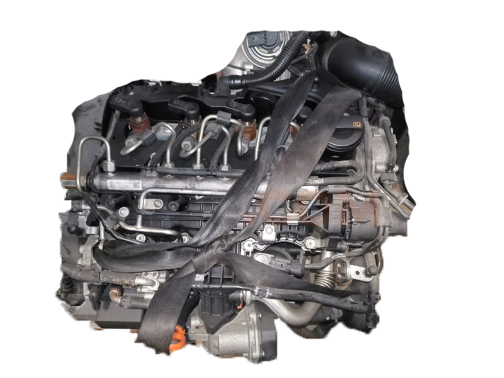 Motor cay Volkswagen Golf VI 1.6 TDI (105cv)