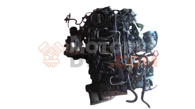 Motor CAYB Seat Ibiza IV 1.6 LPG (81 CV)