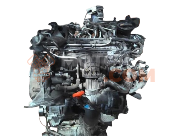 Motor CAYB Seat Ibiza IV (Versión 2012) 1.6 (81 cv)