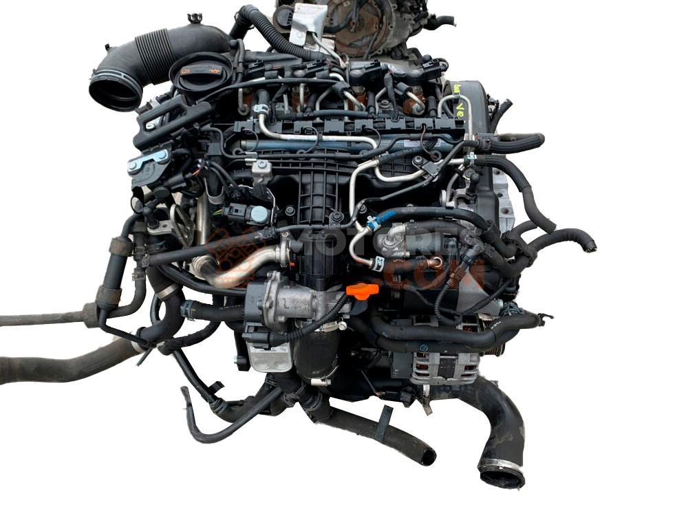 Motor CAYC Seat Leon II (1P) 1.6 TDI CR (105 cv) DPF