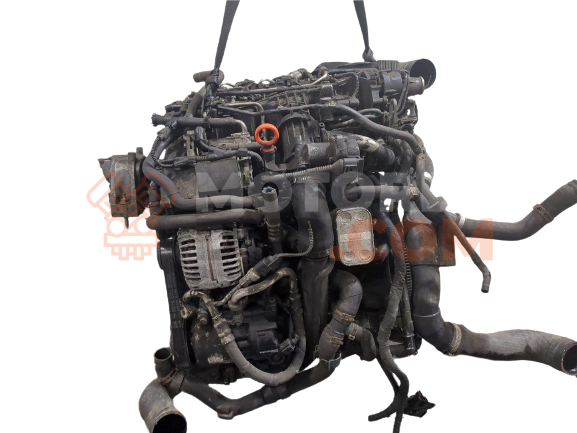 Motor CAYC Volkswagen Jetta V 1.6 i (102 cv)