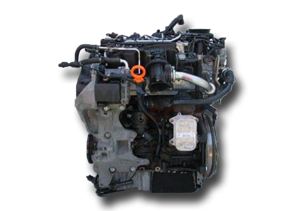 Motor CAYD Volkswagen CADDY III (2K,2C) 1.6 (102cv)
