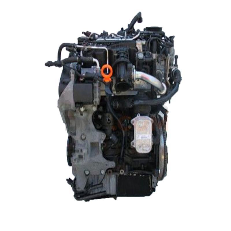Motor CAYD Volkswagen CADDY III (2K,2C) 1.6 TDI (102cv)
